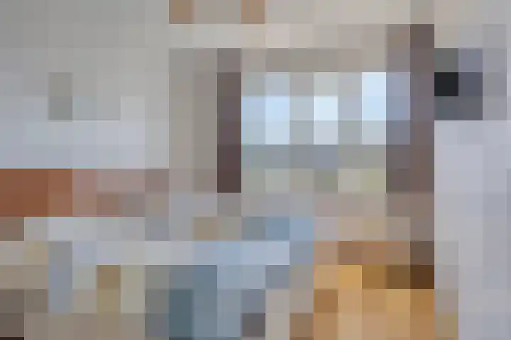 Javalaan 3 Zoetermeer thumbnail 14
