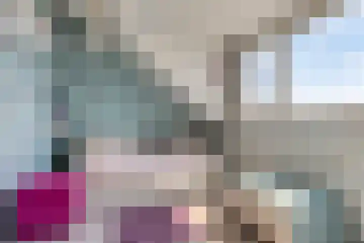 Javalaan 3 Zoetermeer thumbnail 22