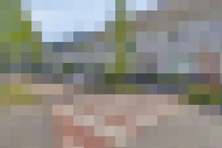 Javalaan 3 Zoetermeer thumbnail 32
