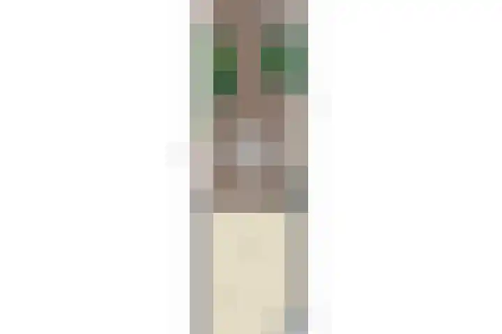Javalaan 3 Zoetermeer thumbnail 38
