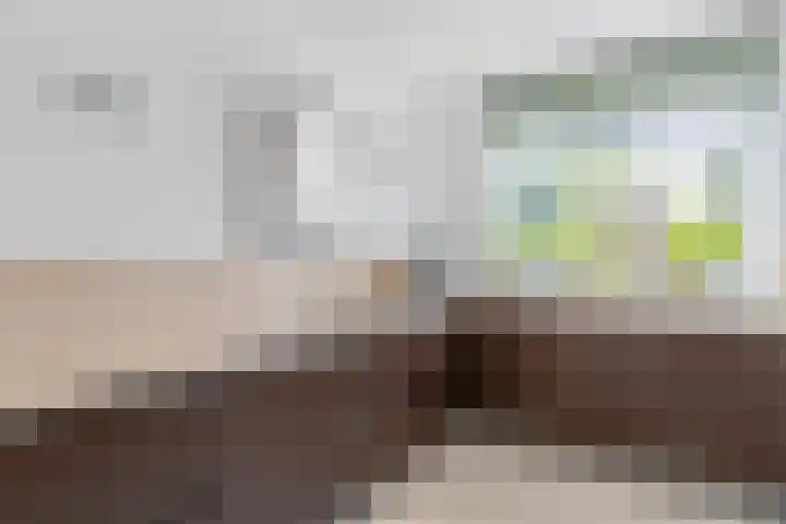 Javalaan 444 Zoetermeer thumbnail 13