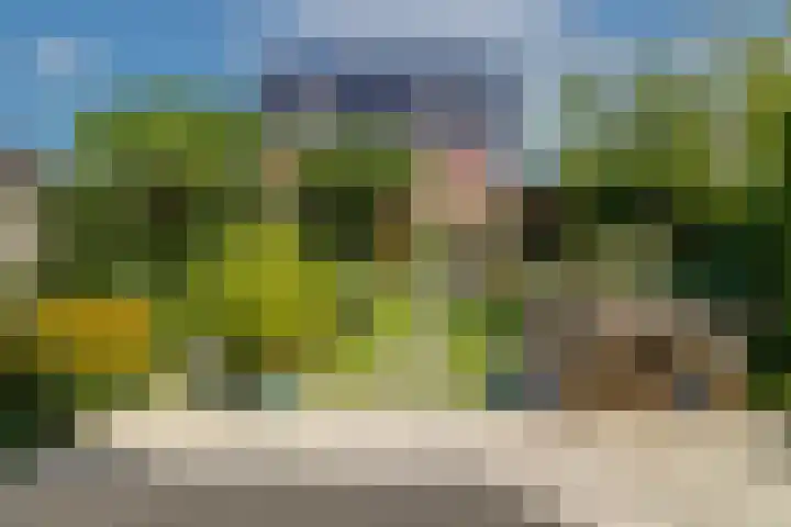 Javalaan 444 Zoetermeer thumbnail 19