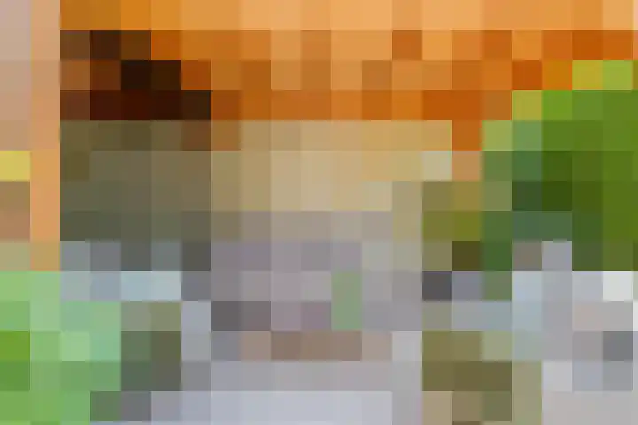 Javalaan 444 Zoetermeer thumbnail 21