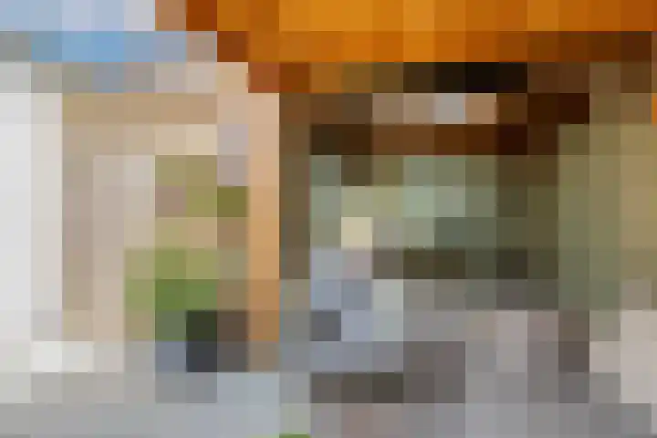 Javalaan 444 Zoetermeer thumbnail 22