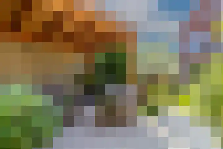Javalaan 444 Zoetermeer thumbnail 24