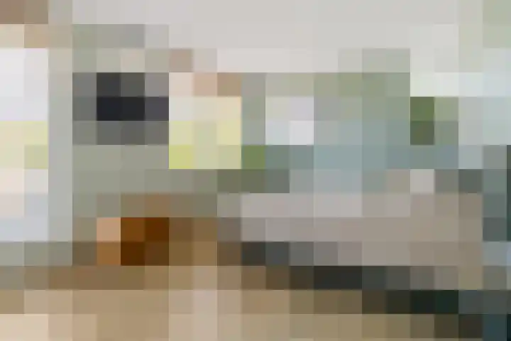 Javalaan 444 Zoetermeer thumbnail 28