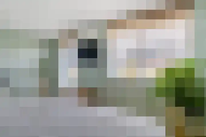 Javalaan 444 Zoetermeer thumbnail 31
