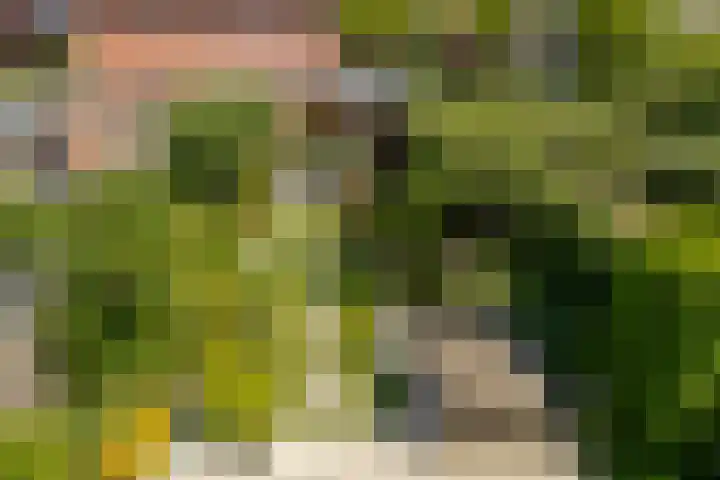 Javalaan 444 Zoetermeer thumbnail 33