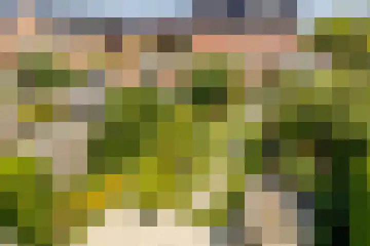 Javalaan 444 Zoetermeer thumbnail 34