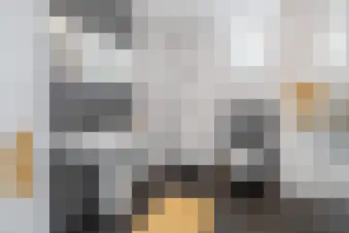 Javalaan 444 Zoetermeer thumbnail 35