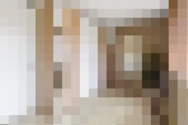 Javalaan 444 Zoetermeer thumbnail 39