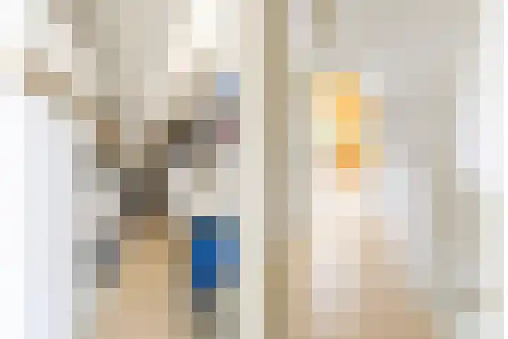 Javalaan 444 Zoetermeer thumbnail 41