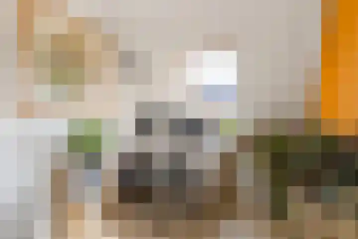 Javalaan 444 Zoetermeer thumbnail 43