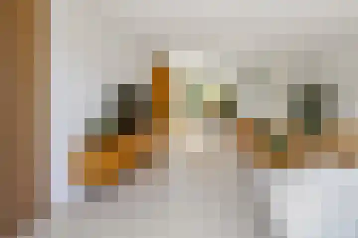 Javalaan 444 Zoetermeer thumbnail 6