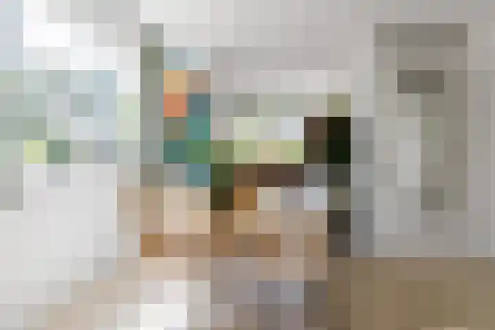 Javalaan 444 Zoetermeer thumbnail 9