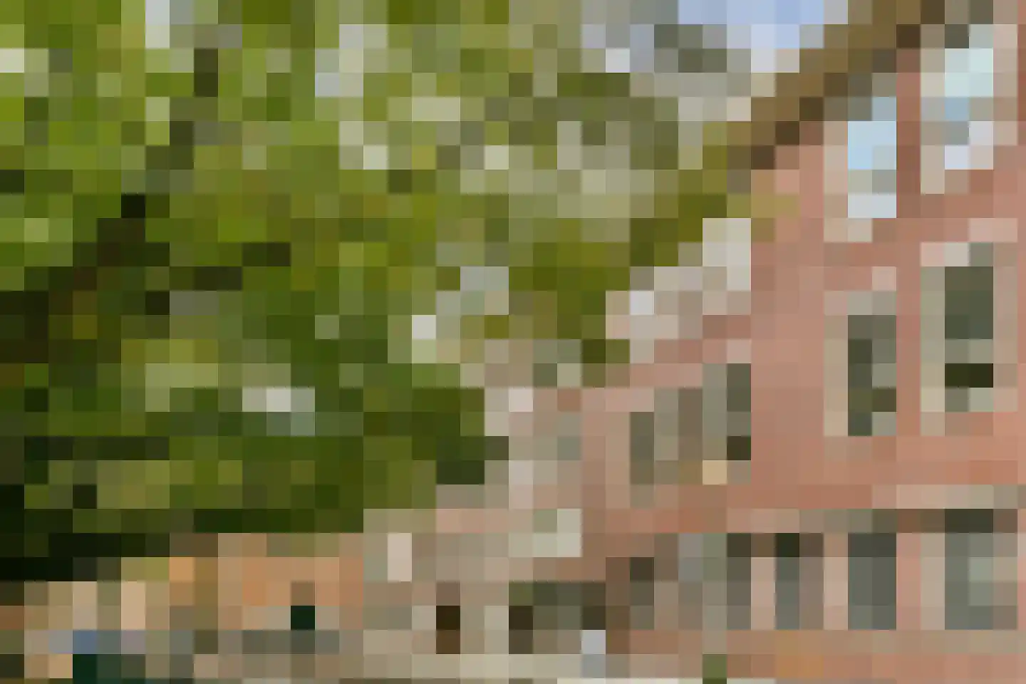 Javaplantsoen 18 H Amsterdam