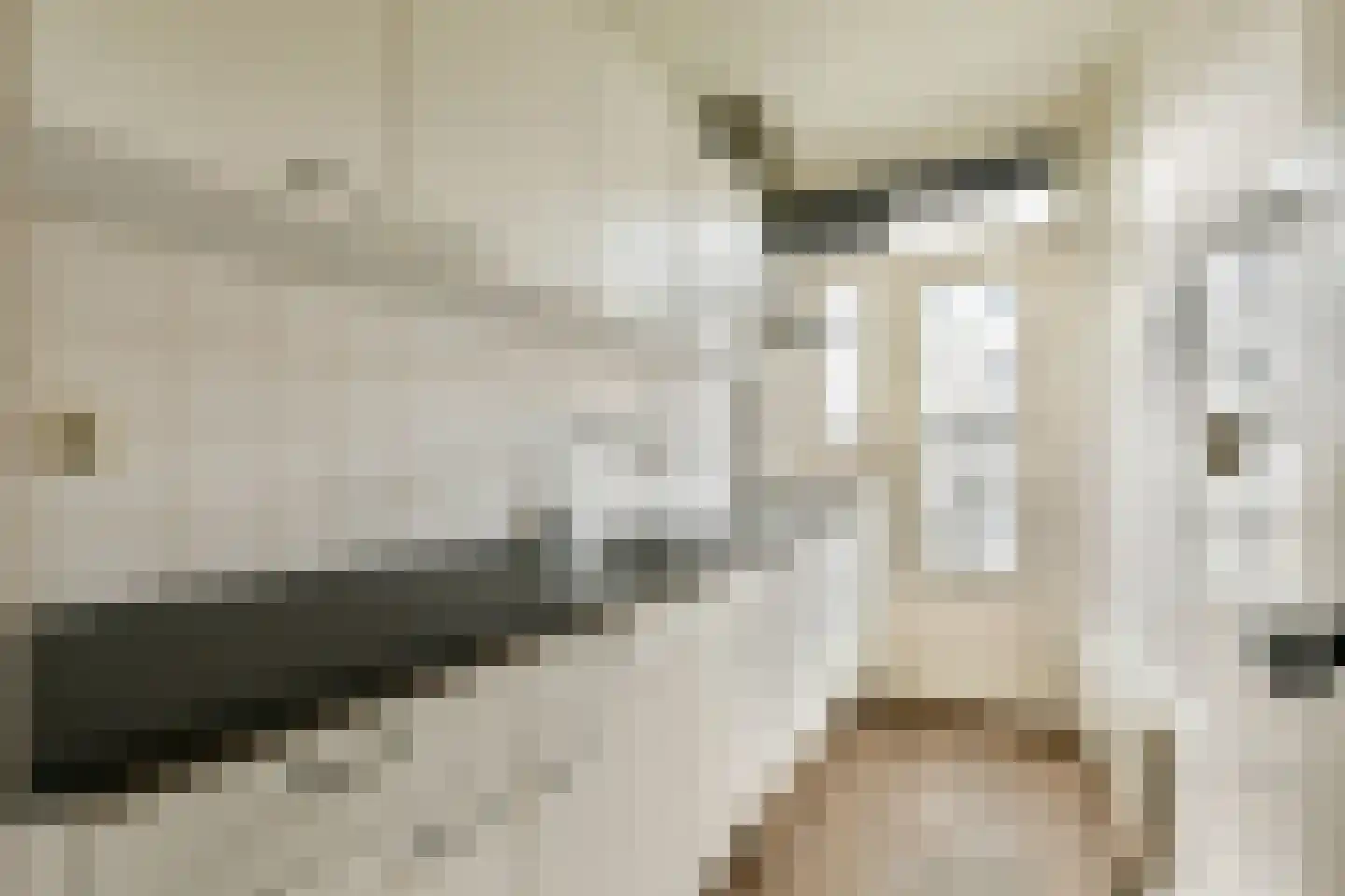 Javaplantsoen 18 H Amsterdam thumbnail 8