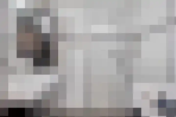 Javastraat 11 Arnhem thumbnail 20