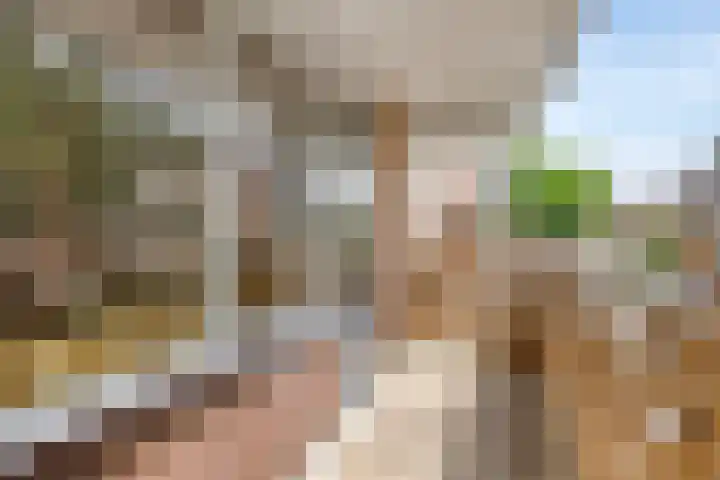 Javastraat 11 Arnhem thumbnail 7