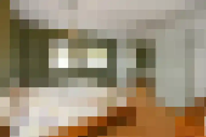 Javastraat 15 Arnhem thumbnail 17