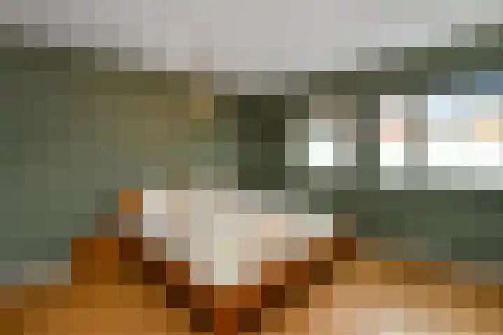 Javastraat 15 Arnhem thumbnail 18