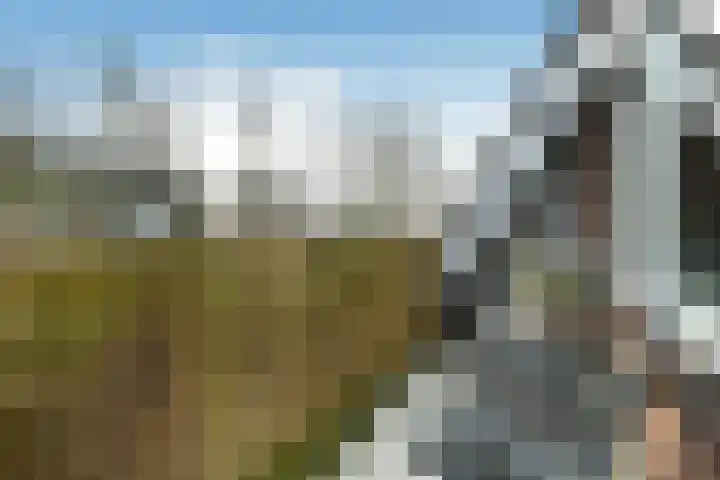 Javastraat 15 Arnhem thumbnail 7