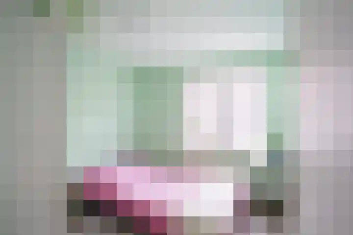 Javastraat 53 Delft thumbnail 12