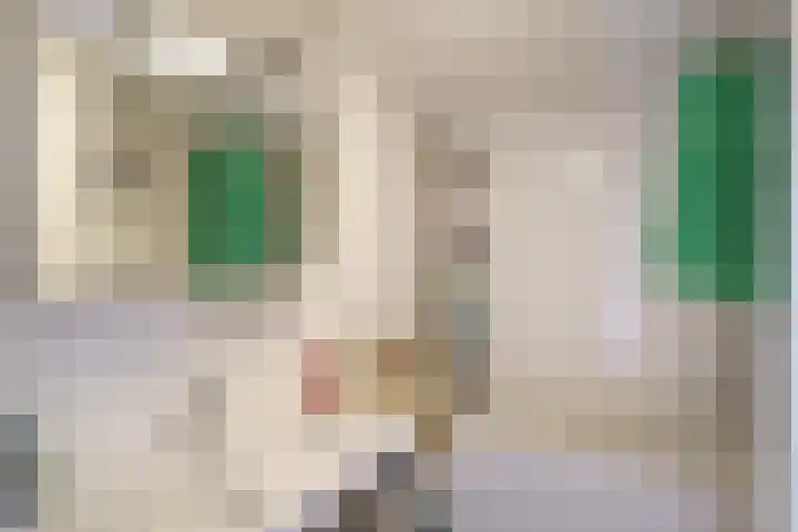 Javastraat 53 Delft thumbnail 15