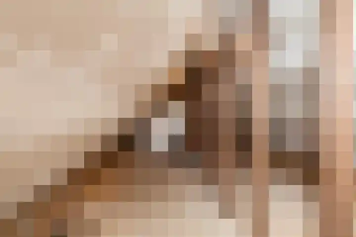 Javastraat 53 Delft thumbnail 19