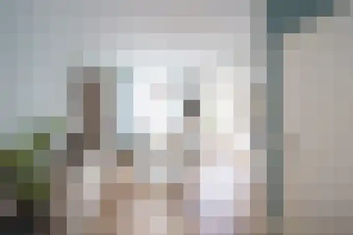 Javastraat 53 Delft thumbnail 4