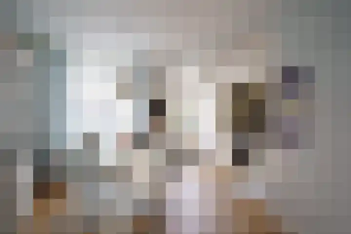 Javastraat 53 Delft thumbnail 6
