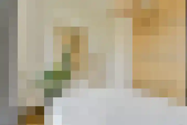 Javastraat 67 2 Amsterdam thumbnail 11