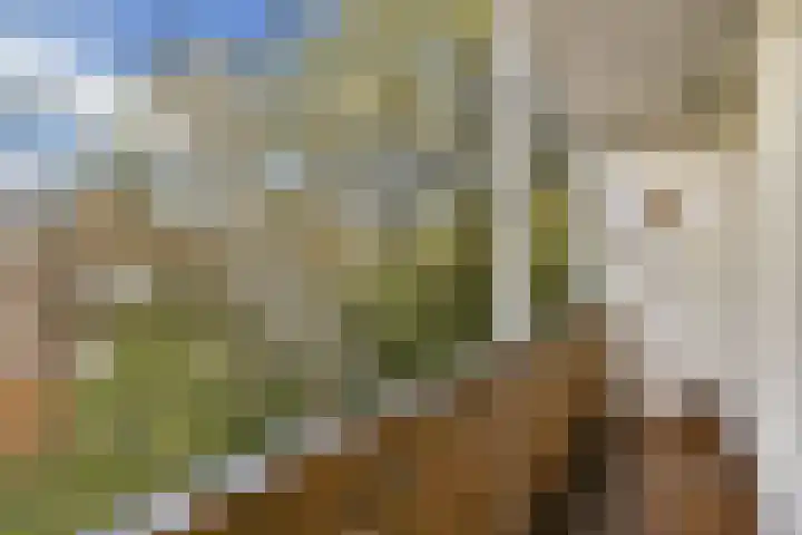 Javastraat 67 2 Amsterdam thumbnail 12