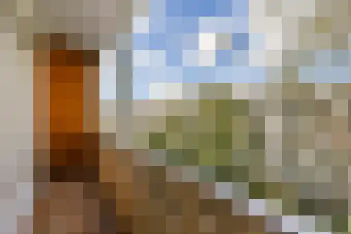 Javastraat 67 2 Amsterdam thumbnail 13