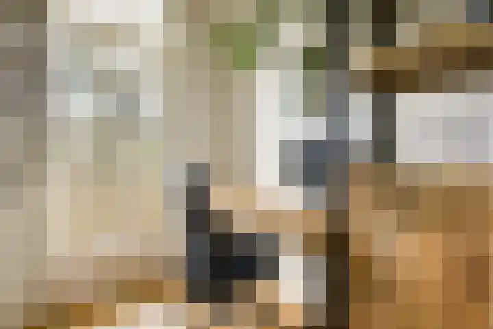 Javastraat 67 2 Amsterdam thumbnail 14