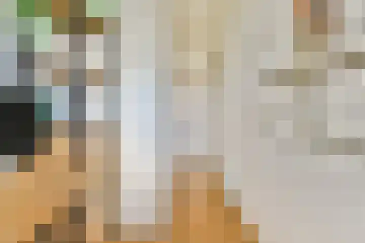 Javastraat 67 2 Amsterdam thumbnail 15