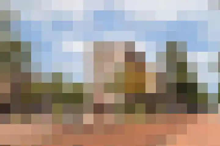 Javastraat 67 2 Amsterdam thumbnail 19