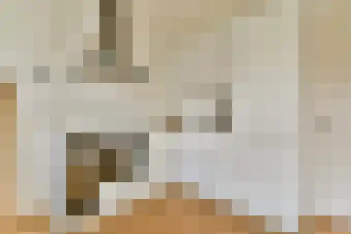 Javastraat 67 2 Amsterdam thumbnail 9