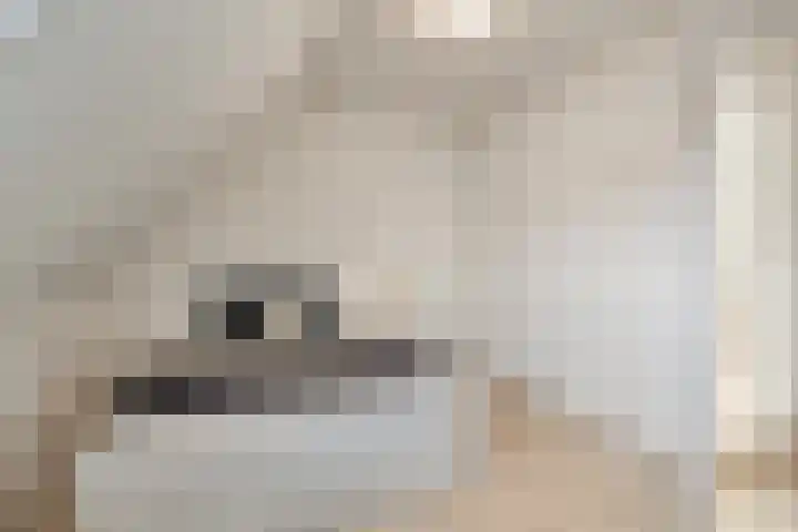 Javastraat 84 Enschede thumbnail 20