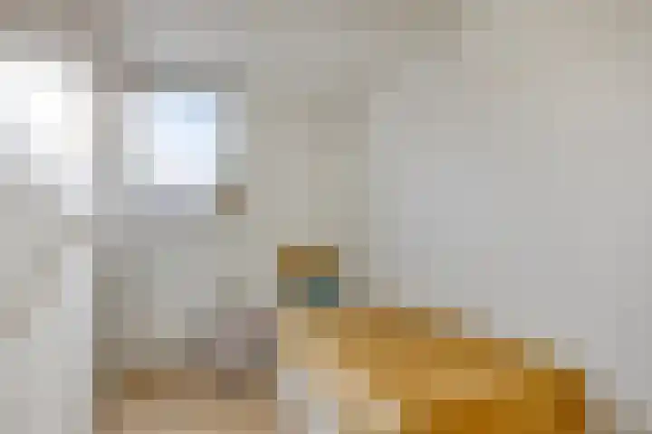 Javastraat 84 Enschede thumbnail 21