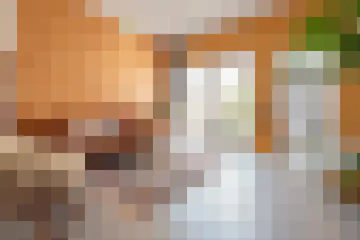 Javastraat 9 Haarlem thumbnail 12