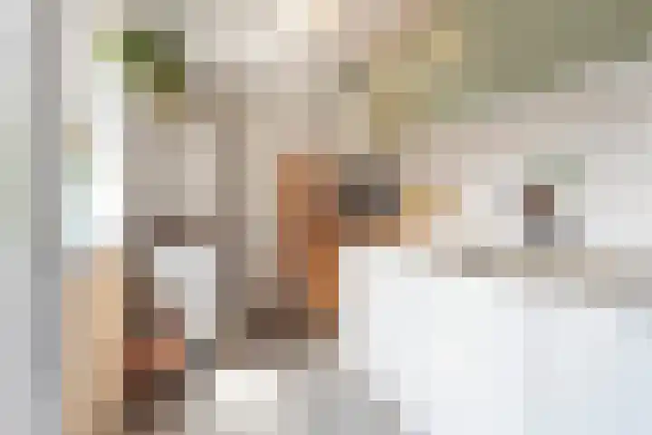 Javastraat 9 Haarlem thumbnail 16