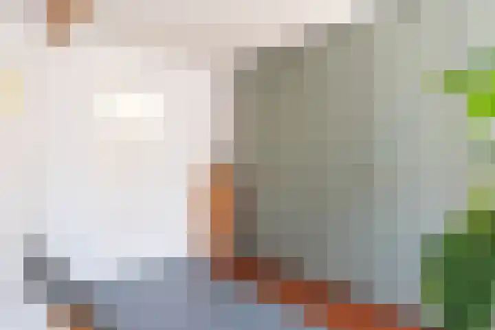 Javastraat 9 Haarlem thumbnail 37