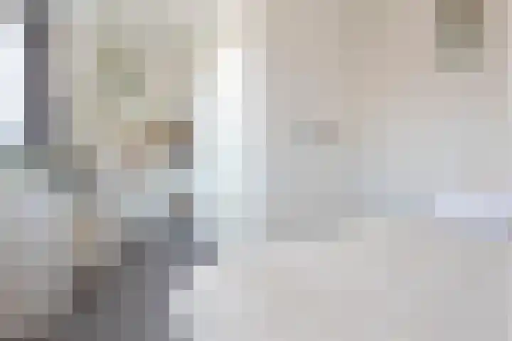 Javastraat 9 Haarlem thumbnail 43