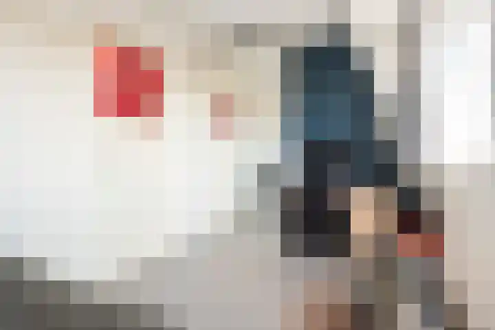 Javastraat 9 Haarlem thumbnail 49