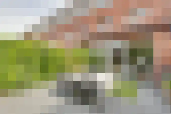 Jazzsingel 100 Utrecht thumbnail 30