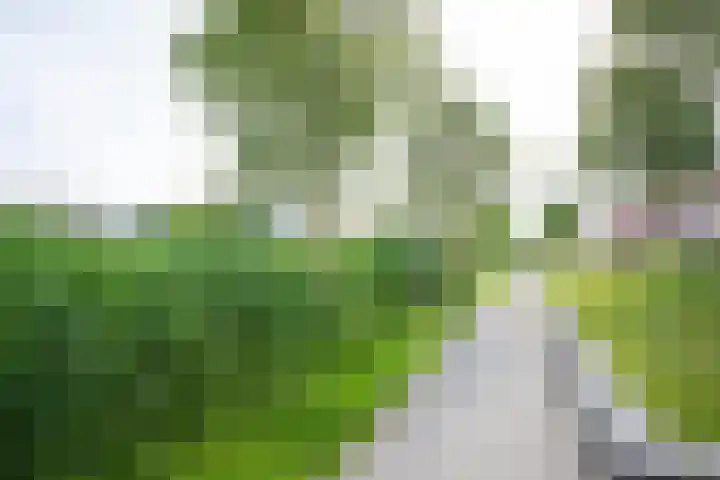 Jazzsingel 100 Utrecht thumbnail 35
