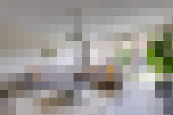 Jazzsingel 100 Utrecht thumbnail 4