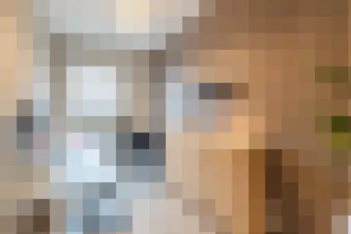 Jazzsingel 5 Utrecht thumbnail 30