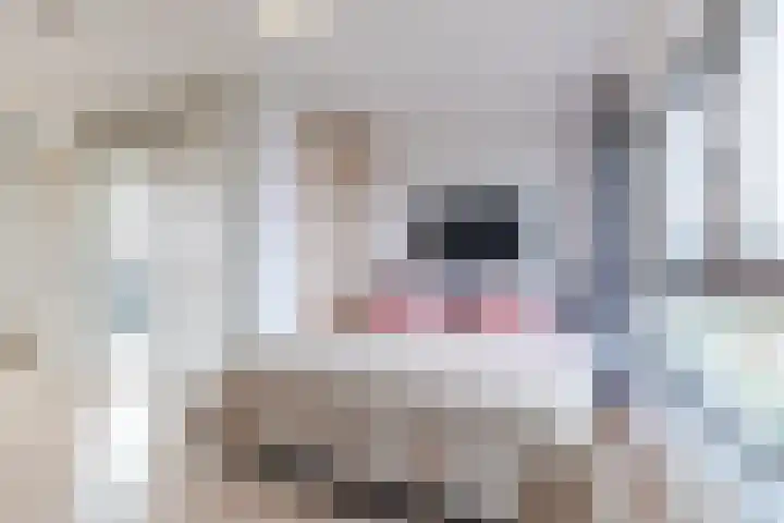 Jazzsingel 5 Utrecht thumbnail 59